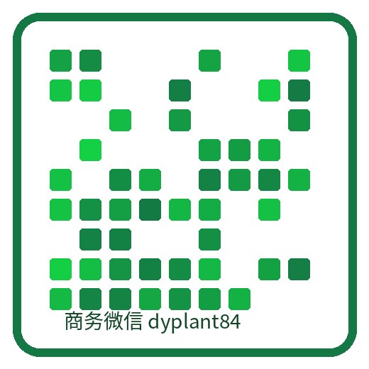 棠花Vlog